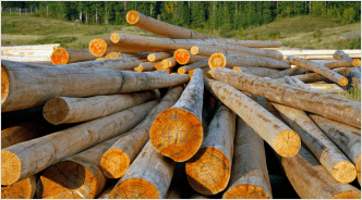Lumber & Wood